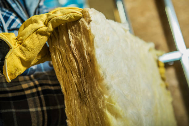 Best DIY Insulation Kits and Guidance in Glendale, MS