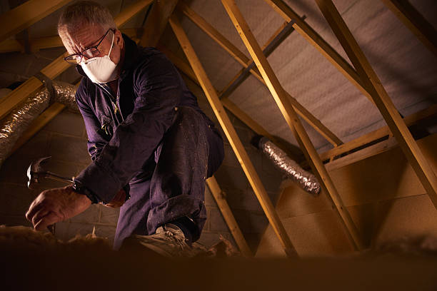 Professional Insulation Contractor in Glendale, MS